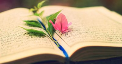 Những oán hờn và than trách, không mang vào Mùa Xuân