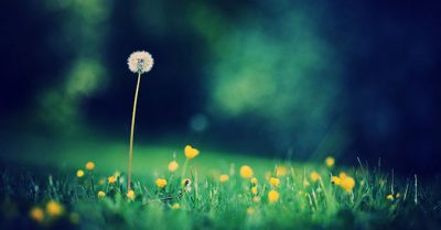 Thơ: Bài tứ tuyệt số 2