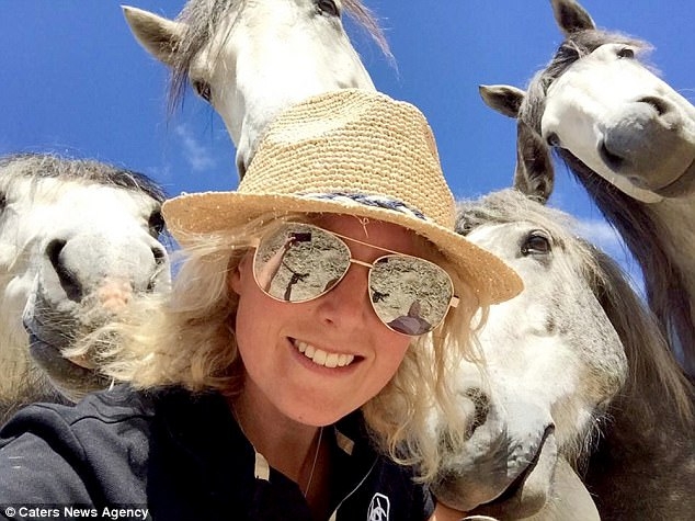 Chú mèo chễm chệ cưỡi ngựa đi dạo