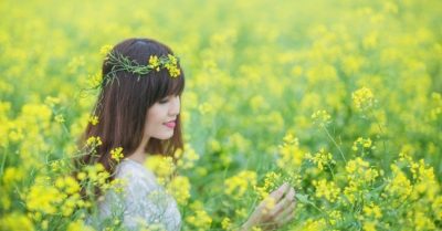 Sự tích các loài hoa: Bao nhiêu Tình, bấy niềm đau, tim nức nở, nhuộm đỏ màu Trạng Nguyên