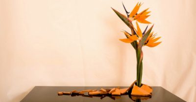 Tìm hiểu về nghệ thuật hoa đạo vô cùng tinh tế của người Nhật