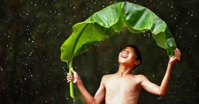 Cơn mưa nào đã đi?