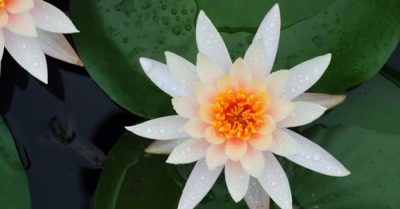 Mưa trái mùa khắc vào ta dấu lặng, mùa đông này còn cần lắm yêu thương…