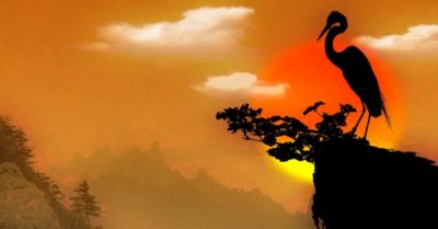 Quê xa mấy năm không về nữa, nhớ cánh cò xưa biệt chốn nào