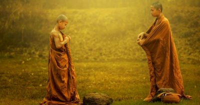 Suy nghĩ làm chi khi đời có ‘nhân – quả’, lặng nghe chim hót đi tìm chút thư nhàn