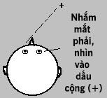 Liệu 5 giác quan có cho phép bạn cảm thụ trọn vẹn thế giới trước mắt?