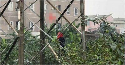 Hà Nội: Phát hiện nam thanh niên treo cổ trên cột điện, 2 tay bị trói