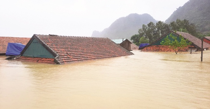 Tôi sống còn trong cơn đại hồng thủy