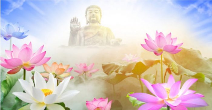 Vì sao nói Sen là loài hoa thánh khiết của nhà Phật?