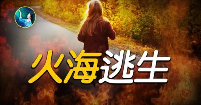 Ảo ảnh cũng có thực có huyễn