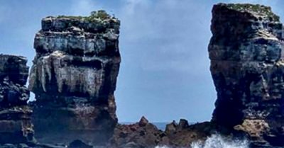 ‘Cổng vòm Darwin’ sụp đổ – các loài sinh vật trên đảo không phải do tiến hóa mà đến