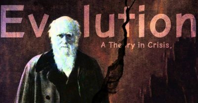Âu Dương Phi: Tại sao giả thuyết tiến hóa vẫn có thị trường?