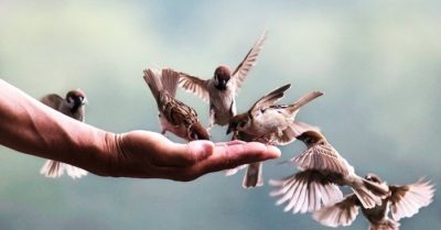 Nghĩ cho người khác, nhường bữa ăn cho người khác mà cứu mạng chính mình