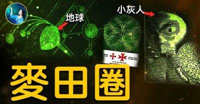 Khám phá năng lượng phép thuật của “mạch điền khuyên” – những vòng tròn bí ẩn trên cánh đồng lúa mạch