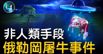 Những vụ giết mổ bò bí ẩn đến nay chưa có lời giải