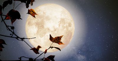 ‘Kẻ đánh cắp giấc mơ’: Linh hồn một già một trẻ xuất du tìm ra hung thủ thực sự