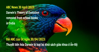 Tin vui về Thuyết tiến hóa Darwin