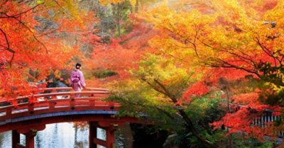Tháng Mười Thu Vàng, người Nhật tìm về thời xa xưa