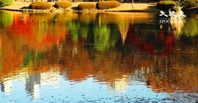 Chưa biết “侘” wabi và “寂” sabi thì chưa hiểu tâm tư của người Nhật!