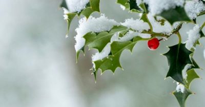 Trinh nữ nhìn thấu chàng rể giả bằng một bài thơ