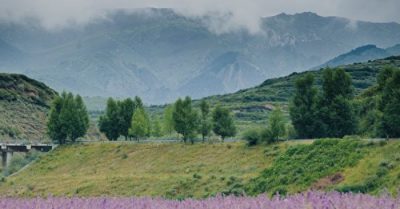 Ăn trộm rồi báo đáp ân nhân, âm thầm tặng khối phong thủy cát địa