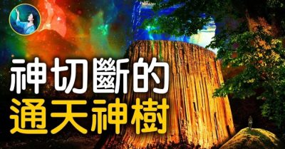 Cây Thần thông Thiên thời thượng cổ nằm ở đâu?