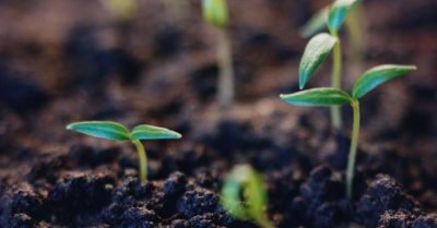 Khoa học về sự sống (2): Charles Darwin