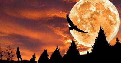 Hành thiện được vong linh chỉ điểm, tú tài thi đỗ thành tiến sĩ