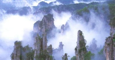 Ngỡ gặp ân nhân, ai ngờ đạo sĩ toán mệnh nguyên là bọ cạp thành tinh