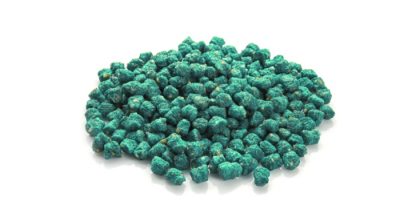Hai huấn luyện viên võ thuật Trung Quốc bị tuyên án tử hình sau hơn 15 năm chạy trốn