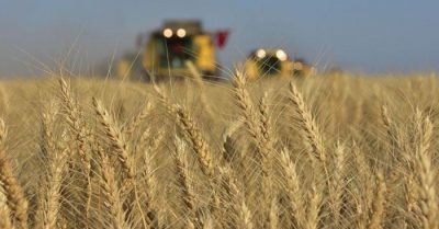 200.000 tấn ngũ cốc của Nga tới 6 nước châu Phi