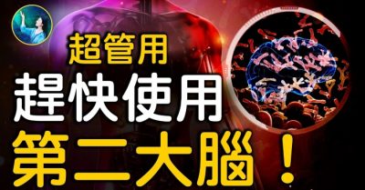 Có một “bộ não” khác ẩn trong nội tạng người?