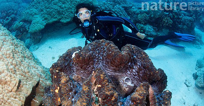 Môi trường biển đang suy giảm nghiêm trọng do các hoạt động của con người ở Biển Đông