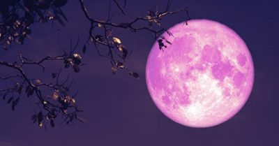 Bị lừa gạt, lão phu nhân thân cô thế kiệt làm sao thoát nạn, lấy lại cuộc sống mới?