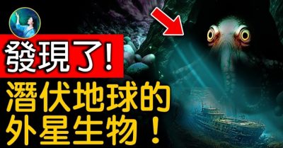 Sinh vật ngoài hành tinh đang ẩn nấp trên Trái Đất?