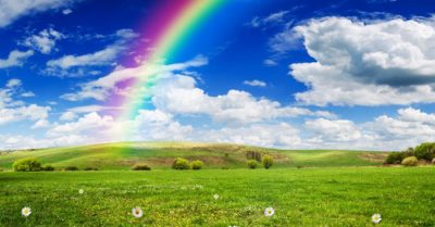 Người đáng tin cậy thành công nhờ 10 chi tiết thú vị, cái cuối mang đến điều bất ngờ 