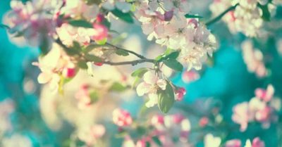 Người nợ bạn 4 món này, Trời cao sẽ trả đủ số