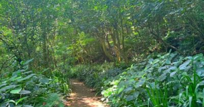 Người bắt trộm vì nghèo khó mà phải đi ăn trộm, kết cục thật cảm động