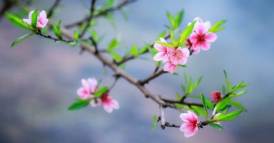 Hai quyết tâm đơn giản cho một năm 2025 phi thường