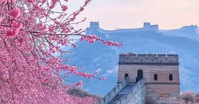 Xem tướng biết về già vô phúc, tướng quân Tào Bân theo lời đạo sĩ thay đổi vận mệnh