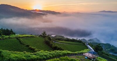 ‘Trà thiền nhất vị’ của Tô Thức: Nhân sinh sở ngộ vô bất khả, Ngã sinh bách sự thường tùy duyên