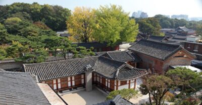 Thương nhân buôn muối đối tốt với con rể, hóa ra là để trả món nợ tiền kiếp