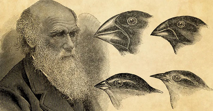 Những bằng chứng khoa học dấy lên nghi ngờ về Thuyết tiến hóa