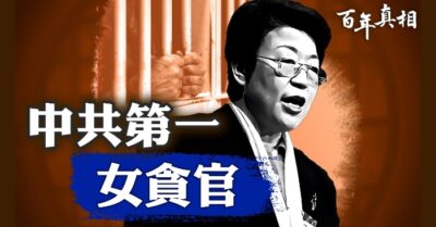 Ký sự trầm luân của nữ quan tham số một Trung Quốc Hàn Quế Chi