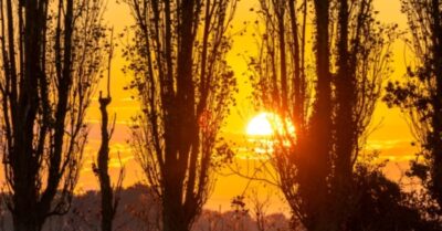 Lý giải câu nói “Cả đời chỉ là ‘tạm bợ'” và bi kịch của Đại sư Quốc học Trần Dần Khác