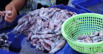 Thực phẩm TQ: Từ cá gây mê đến trứng chứa kháng sinh vượt ngưỡng.