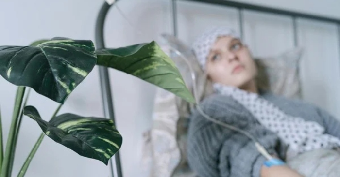 Nghê Hải Hạ: Sự thật về ung thư chỉ gói gọn trong hai chữ