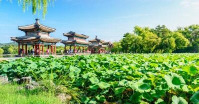 Tà không hại chính, bệnh dịch đều tự động lui tránh