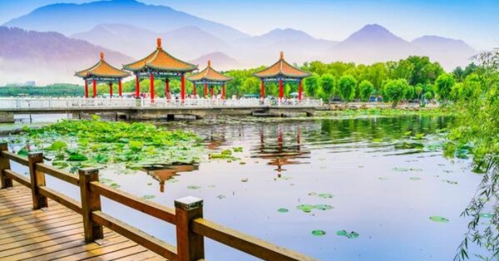 Thật khó tin! Có được khả năng chữa bệnh thần kỳ trong giấc mơ