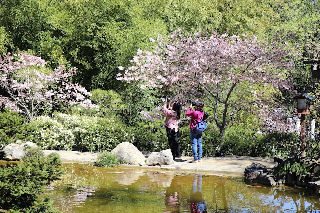 Tết Thanh Minh không tuổi: Sức sống thanh xuân hòa quyện cùng truyền thống cổ xưa插图1